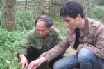 Rùng rợn “lời nguyền ma ngón”