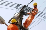 Thanh tra việc trả lương tại EVN