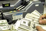 Nữ phó tổng GĐ "ôm” gần 900.000 USD bỏ trốn