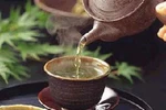 8 bài thuốc trị cảm mạo