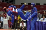 Những pha 'bay lượn' tuyệt đẹp của võ sĩ Vovinam Việt Nam