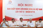 Gian lận lấy phiếu tín nhiệm Ban chấp hành VFF?