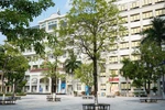 Chi tiết điểm chuẩn Trường Đại học Ngoại ngữ, ĐHQGHN năm 2024