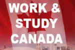 Nên học ngành gì để thuận lợi cho việc định cư tại Canada?