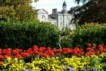 Video: Phoenix Park - Ireland