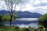 Video: Killarney of Ireland 