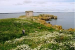 Bài dự thi số 45: Chào Ireland, Tôi đến từ Việt Nam!