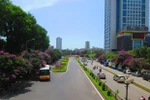 Đường Hà Nội ngập tím sắc bằng lăng