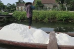 Nhọc nhằn gom góp “quà” của biển