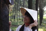 Nguyễn Thị Thúy, Đăk Lăk, THPT Chu Văn An (975)