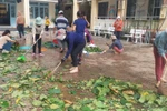 Đà Nẵng: GV ở Liên Chiểu buồn tủi vì bị xét nâng lương “chậm”, UBND quận trả lời