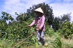 5 giáo viên thắng kiện trường Minh Khai và huyện Krông Pắk: buồn nhiều hơn vui