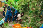 Sau bão Noru, học sinh ở Đà Nẵng và Bình Định trở lại trường vào ngày mai (29/9)