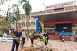 Bộ GDĐT hướng dẫn khen thưởng thành tích xuất sắc trong phòng, chống bão lụt