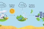 VN sẽ có thị trường carbon nên cần đào tạo nhân lực đủ chuyên môn 