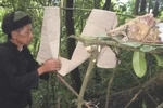 Chuyện ăn Tết tốn kém và sửng sốt của các đại gia