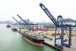 Nghiên cứu, rà soát quy hoạch, quản lý cảng biển