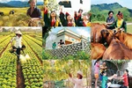 Sớm trình Thủ tướng Chính phủ ban hành chuẩn nghèo đa chiều