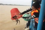Lập Hội đồng thẩm định nhiệm vụ Quy hoạch bảo vệ và khai thác nguồn lợi thủy sản