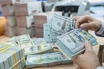 Cấm sử dụng viện trợ để rửa tiền, trốn thuế