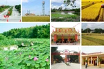 Xây dựng Bộ tiêu chí quốc gia về nông thôn mới các cấp