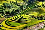 Xếp hạng 7 di tích quốc gia đặc biệt