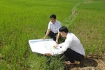 Kéo dài thời gian hoàn thành kiểm kê đất đai năm 2019