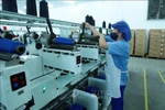 Đề xuất các giải pháp nhằm hạn chế tác động tiêu cực của dịch bệnh