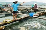 Nhiệm vụ lập Quy hoạch bảo vệ và khai thác nguồn lợi thuỷ sản