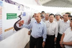 Năm 2021 sẽ khánh thành toàn tuyến Trung Lương-Mỹ Thuận