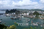 Quy hoạch tỉnh Quảng Ninh phải thể hiện được quan điểm đổi mới mạnh mẽ