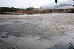 Phạt nặng hành vi xả khí thải độc hại trực tiếp vào nguồn nước