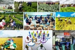 Nghị quyết phiên họp Chính phủ thường kỳ tháng 5