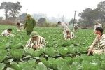 Tạo điều kiện thuận lợi cho người chấp hành xong hình phạt tù ổn định cuộc sống