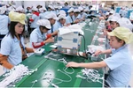 Quy chế làm việc của Ban chỉ đạo Trung ương cải cách chính sách tiền lương