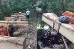 Thủ tướng yêu cầu xử lý nghiêm hoạt động phá rừng tại Kon Tum