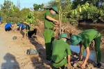 Thủ tướng chỉ thị: Cả nước chung sức, đồng lòng trồng mới 1 tỷ cây xanh