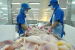 Tăng cường phân phối, tiêu thụ nội địa mặt hàng thủy sản