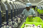 Đồng hành cùng doanh nghiệp vượt qua khó khăn