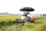 Bảo đảm an ninh lương thực quốc gia đến năm 2030