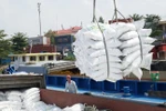Phó Thủ tướng yêu cầu báo cáo việc mở tờ khai xuất khẩu gạo