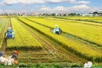 Tiếp tục thực hiện Nghị quyết Trung ương 7 về nông nghiệp, nông dân, nông thôn