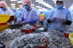 Biểu thuế xuất nhập khẩu ưu đãi của Việt Nam để thực hiện EVFTA 