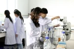 Phòng ban các trường đại học có cần đến tiến sĩ, phó giáo sư, giáo sư?