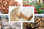 Phấn đấu hoàn thành chỉ tiêu xuất khẩu nông sản cả năm đạt 41 tỷ USD
