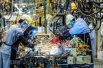  Triển khai xây dựng Kế hoạch phát triển kinh tế - xã hội năm 2021