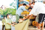Sửa quy định phạt vi phạm hành chính lĩnh vực bảo vệ thực vật, thú y