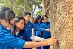 Ưu tiên xét tuyển ELTS thì học sinh miền núi sẽ gặp khó khăn, khó cạnh tranh