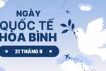 Ngành Quan hệ quốc tế cần tạo môi trường học tập năng động, thực tiễn hơn cho SV