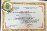 Dừng tổ chức kỳ thi học sinh giỏi cụm chuyên môn 4 của TPHCM